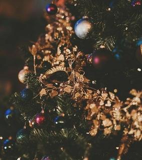 christmas, winter photo and winter