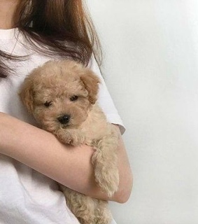 beige, girl and korean