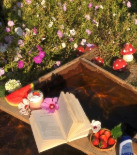 cottage core, july and iphone aesthetic