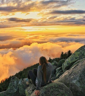 photography, nature and sun