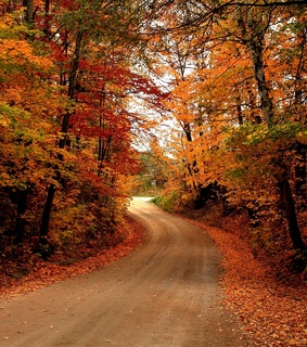 place, colors and fall