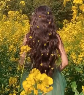 yellow, cottage core and garden