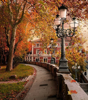 november, fall and halloween