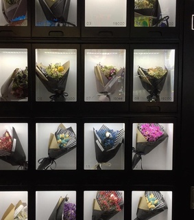 colors, night and sunlight