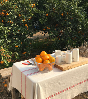 farmcore, expensive and cottagecore