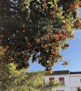 greece, tropical and architecture