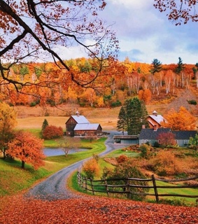 cozy, automne and pumpkin