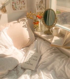 mirror, red flower and teacup