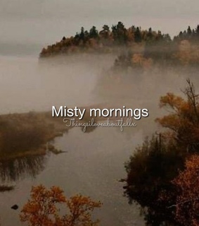 things i love about fall, cozy and pie