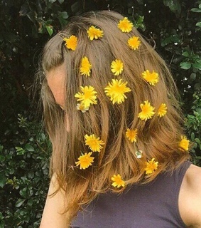 nature, fashion and short hair