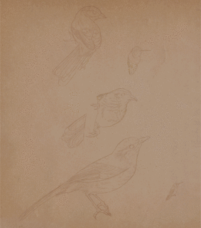 animal, animals and art