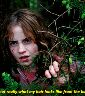 harry potter, gif and hermione granger