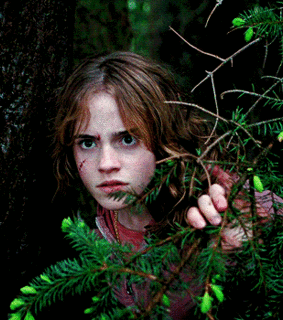 hermione granger, gif and harry potter